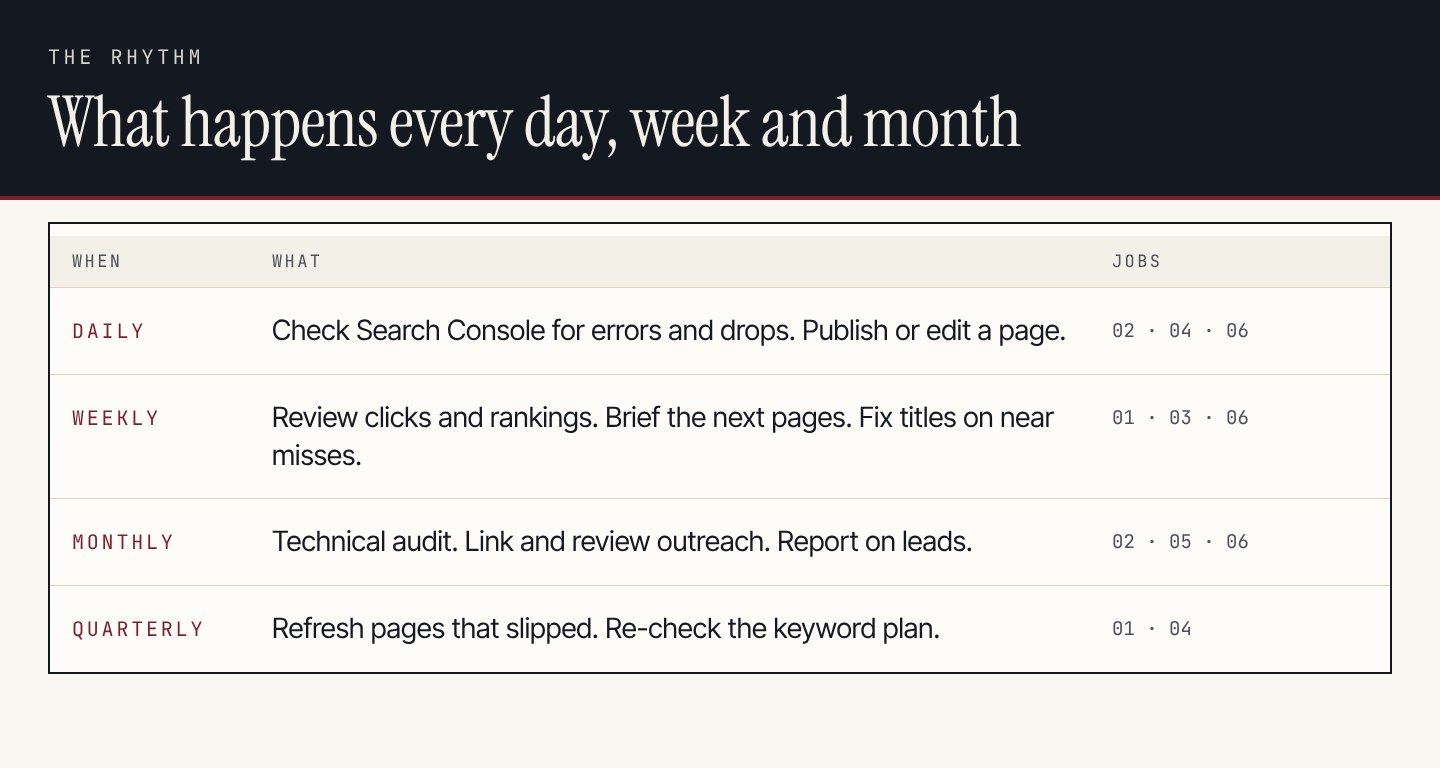 SEO routine: daily, weekly, monthly and quarterly tasks